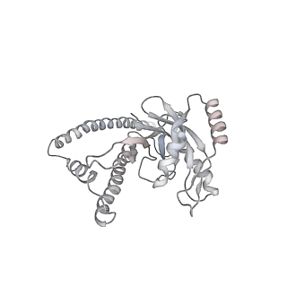 8332_5t0c_BZ_v1-3
Structural basis for dynamic regulation of the human 26S proteasome