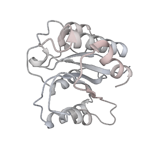 8332_5t0c_Bb_v1-3
Structural basis for dynamic regulation of the human 26S proteasome