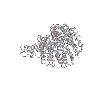 8332_5t0c_Bf_v1-3
Structural basis for dynamic regulation of the human 26S proteasome