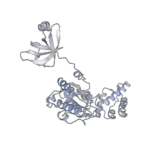 8333_5t0c_AB_v1-3
Structural basis for dynamic regulation of the human 26S proteasome
