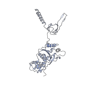8333_5t0c_AF_v1-3
Structural basis for dynamic regulation of the human 26S proteasome