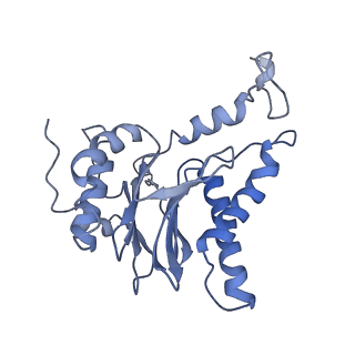 8333_5t0c_AL_v1-3
Structural basis for dynamic regulation of the human 26S proteasome