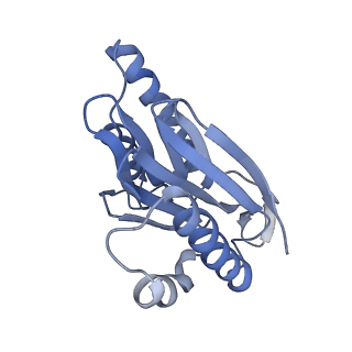 8333_5t0c_AN_v1-3
Structural basis for dynamic regulation of the human 26S proteasome