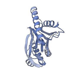 8333_5t0c_AR_v1-3
Structural basis for dynamic regulation of the human 26S proteasome