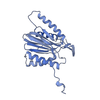 8333_5t0c_AT_v1-3
Structural basis for dynamic regulation of the human 26S proteasome
