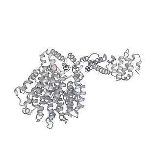 8333_5t0c_AU_v1-3
Structural basis for dynamic regulation of the human 26S proteasome