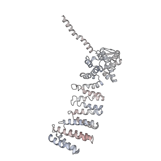 8333_5t0c_AW_v1-3
Structural basis for dynamic regulation of the human 26S proteasome