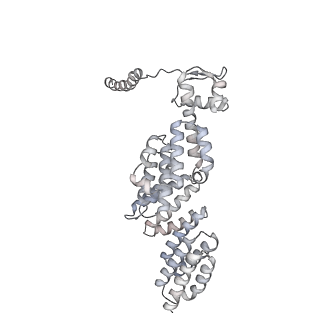 8333_5t0c_AX_v1-3
Structural basis for dynamic regulation of the human 26S proteasome