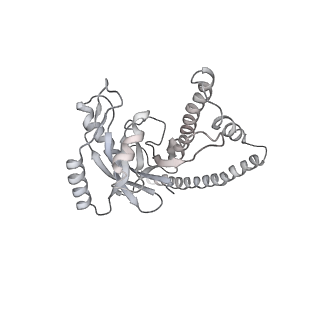 8333_5t0c_AZ_v1-3
Structural basis for dynamic regulation of the human 26S proteasome
