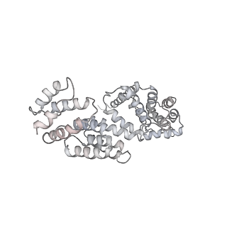 8333_5t0c_Aa_v1-3
Structural basis for dynamic regulation of the human 26S proteasome