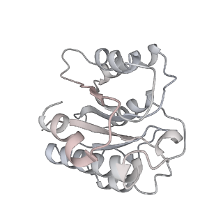 8333_5t0c_Ab_v1-3
Structural basis for dynamic regulation of the human 26S proteasome
