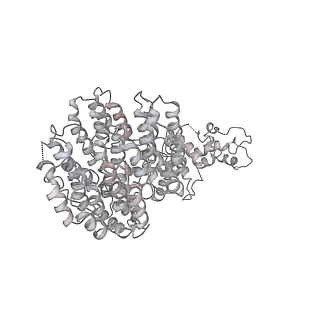 8333_5t0c_Af_v1-3
Structural basis for dynamic regulation of the human 26S proteasome