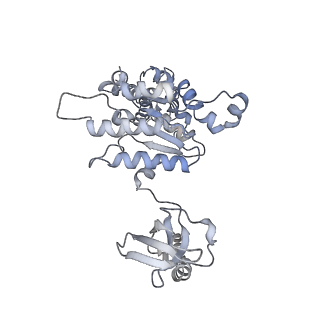 8333_5t0c_BA_v1-3
Structural basis for dynamic regulation of the human 26S proteasome