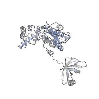 8333_5t0c_BB_v1-3
Structural basis for dynamic regulation of the human 26S proteasome