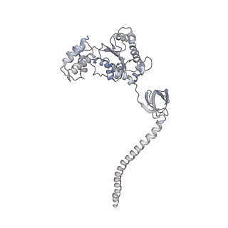 8333_5t0c_BC_v1-3
Structural basis for dynamic regulation of the human 26S proteasome