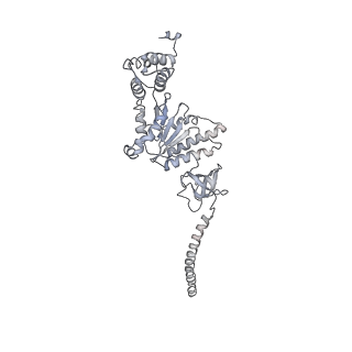 8333_5t0c_BD_v1-3
Structural basis for dynamic regulation of the human 26S proteasome