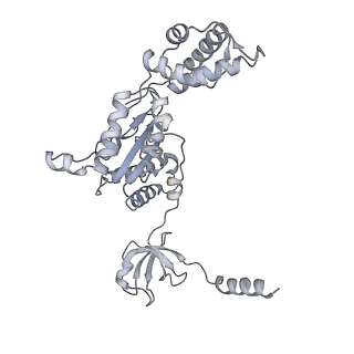 8333_5t0c_BE_v1-3
Structural basis for dynamic regulation of the human 26S proteasome