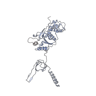 8333_5t0c_BF_v1-3
Structural basis for dynamic regulation of the human 26S proteasome
