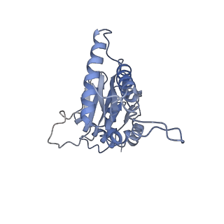 8333_5t0c_BJ_v1-3
Structural basis for dynamic regulation of the human 26S proteasome