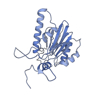 8333_5t0c_BK_v1-3
Structural basis for dynamic regulation of the human 26S proteasome