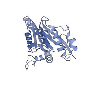 8333_5t0c_BM_v1-3
Structural basis for dynamic regulation of the human 26S proteasome