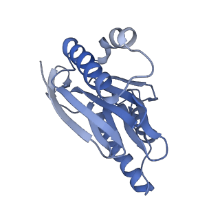 8333_5t0c_BN_v1-3
Structural basis for dynamic regulation of the human 26S proteasome