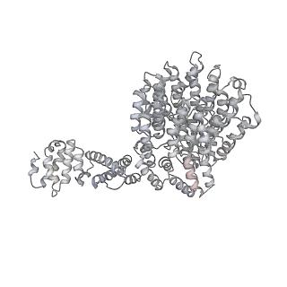 8333_5t0c_BU_v1-3
Structural basis for dynamic regulation of the human 26S proteasome