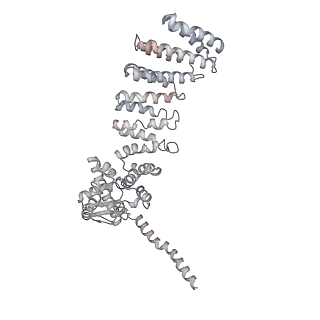 8333_5t0c_BW_v1-3
Structural basis for dynamic regulation of the human 26S proteasome