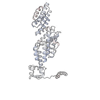 8333_5t0c_BX_v1-3
Structural basis for dynamic regulation of the human 26S proteasome