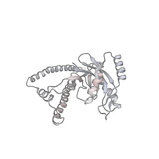 8333_5t0c_BZ_v1-3
Structural basis for dynamic regulation of the human 26S proteasome