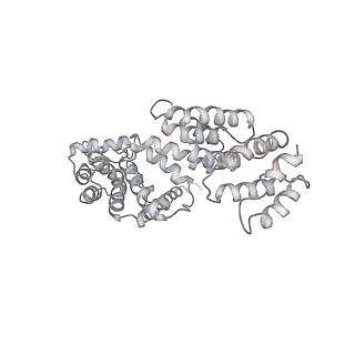 8333_5t0c_Ba_v1-3
Structural basis for dynamic regulation of the human 26S proteasome