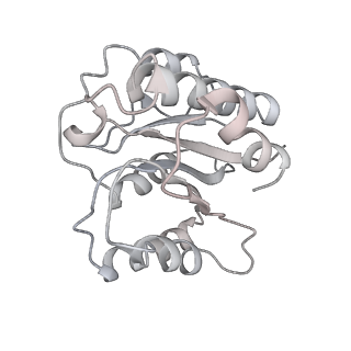 8333_5t0c_Bb_v1-3
Structural basis for dynamic regulation of the human 26S proteasome