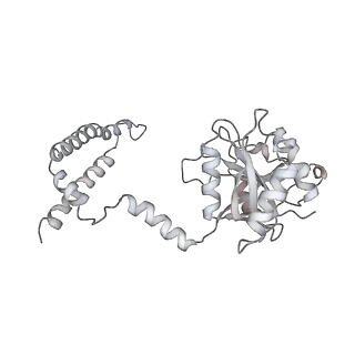 8333_5t0c_Bc_v1-3
Structural basis for dynamic regulation of the human 26S proteasome