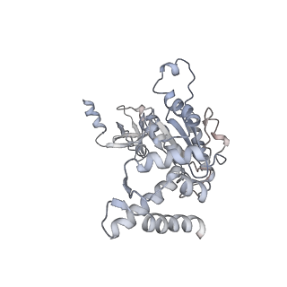 8334_5t0g_B_v1-2
Structural basis for dynamic regulation of the human 26S proteasome