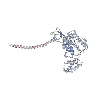 8334_5t0g_C_v1-2
Structural basis for dynamic regulation of the human 26S proteasome