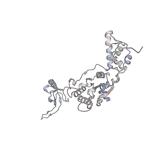 8334_5t0g_F_v1-2
Structural basis for dynamic regulation of the human 26S proteasome
