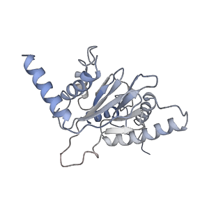 8334_5t0g_J_v1-2
Structural basis for dynamic regulation of the human 26S proteasome
