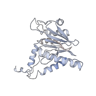 8334_5t0g_L_v1-2
Structural basis for dynamic regulation of the human 26S proteasome
