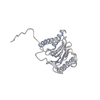 8334_5t0g_O_v1-2
Structural basis for dynamic regulation of the human 26S proteasome