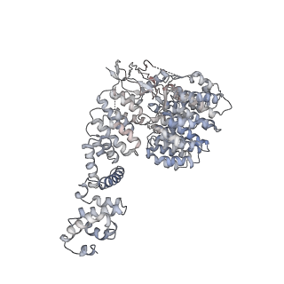 8334_5t0g_U_v1-2
Structural basis for dynamic regulation of the human 26S proteasome
