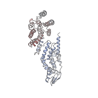 8334_5t0g_V_v1-2
Structural basis for dynamic regulation of the human 26S proteasome