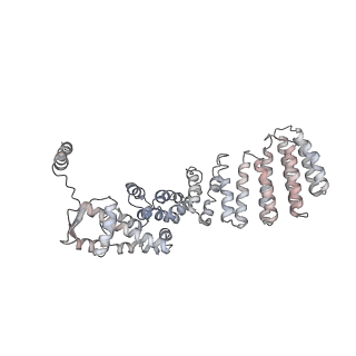 8334_5t0g_W_v1-2
Structural basis for dynamic regulation of the human 26S proteasome