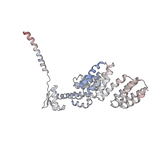 8334_5t0g_X_v1-2
Structural basis for dynamic regulation of the human 26S proteasome