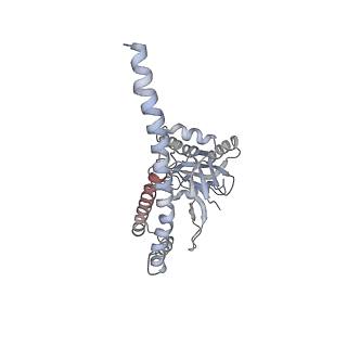 8334_5t0g_Z_v1-2
Structural basis for dynamic regulation of the human 26S proteasome