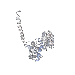 8334_5t0g_a_v1-2
Structural basis for dynamic regulation of the human 26S proteasome