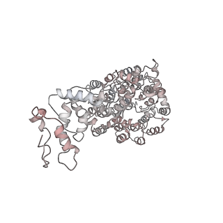 8334_5t0g_f_v1-2
Structural basis for dynamic regulation of the human 26S proteasome