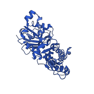 10363_6t1y_A_v1-1
Cryo-EM structure of phalloidin-stabilized F-actin (copolymerized)