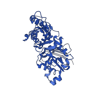 10363_6t1y_B_v1-1
Cryo-EM structure of phalloidin-stabilized F-actin (copolymerized)