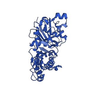 10363_6t1y_E_v1-1
Cryo-EM structure of phalloidin-stabilized F-actin (copolymerized)