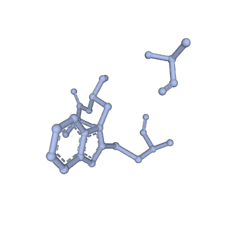 10363_6t1y_F_v1-1
Cryo-EM structure of phalloidin-stabilized F-actin (copolymerized)